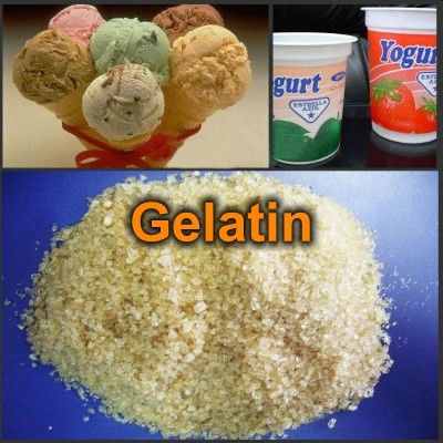 เจลาติน (Gelatin)
