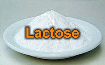 น้ำตาลแลคโตส (Lactose)